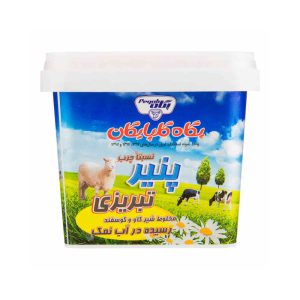 پنير گوسفندي تبريزي 400 گ IML پگاه