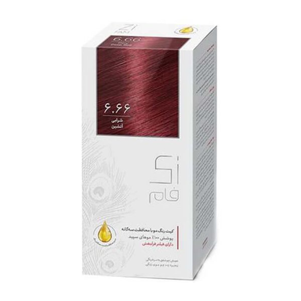 کيت رنگ موي زي فام شماره 6.66 کيت رنگ موي زي فام شماره 6.66