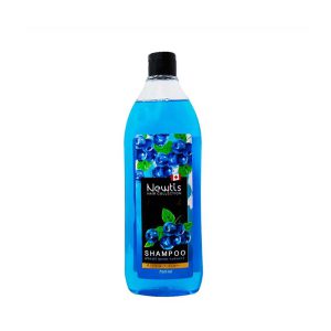 شامپو موي سر آبي رنگ اکسترا نوريش 750ML نيوتيس