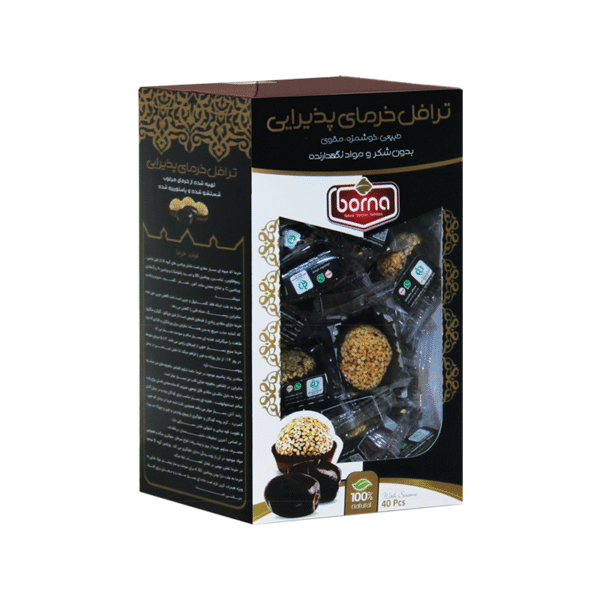 Truffle-40-Pcs-Sesame-2 ترافل خرمايي مخلوط پذيرايي کنجد 40ع 600گ برنا - Image 1