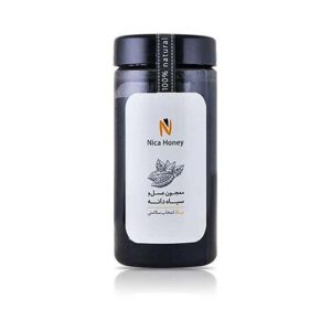 معجون عسل و سیاه دانه540 گرم نیکا
