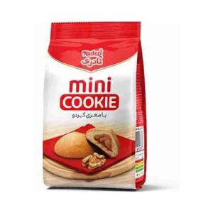 ميني كوكي پاكتي گردو 110 گرم نادري