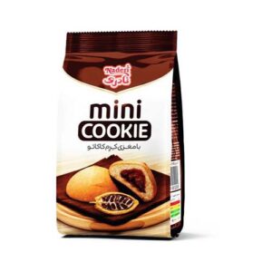 ميني كوكي پاكتي شكلات 110 گرم نادري