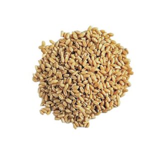 گندم پوست کنده اردبیل900gدشت بن شن