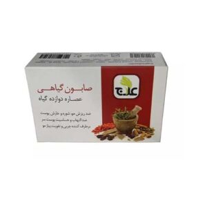 صابون گياهي دوازده عصاره 100گرمي علاج