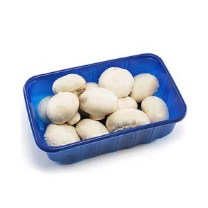 قارچ خوراکی 400 گرم سما