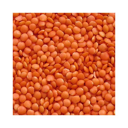 دال عدس ایرانی900gدشت بن شن دال عدس ایرانی900gدشت بن شن