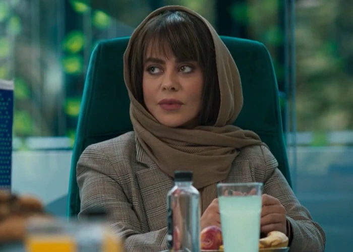 الهام اخوان بازیگر نقش میترا در سریال از یاد رفته