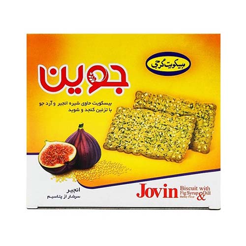 بیسکوئیت جوین شیره انجیر 500گ گرجی
